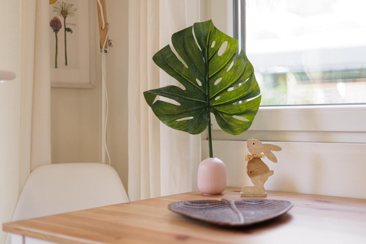 Corfu  Aloe Apartments מראה חיצוני תמונה