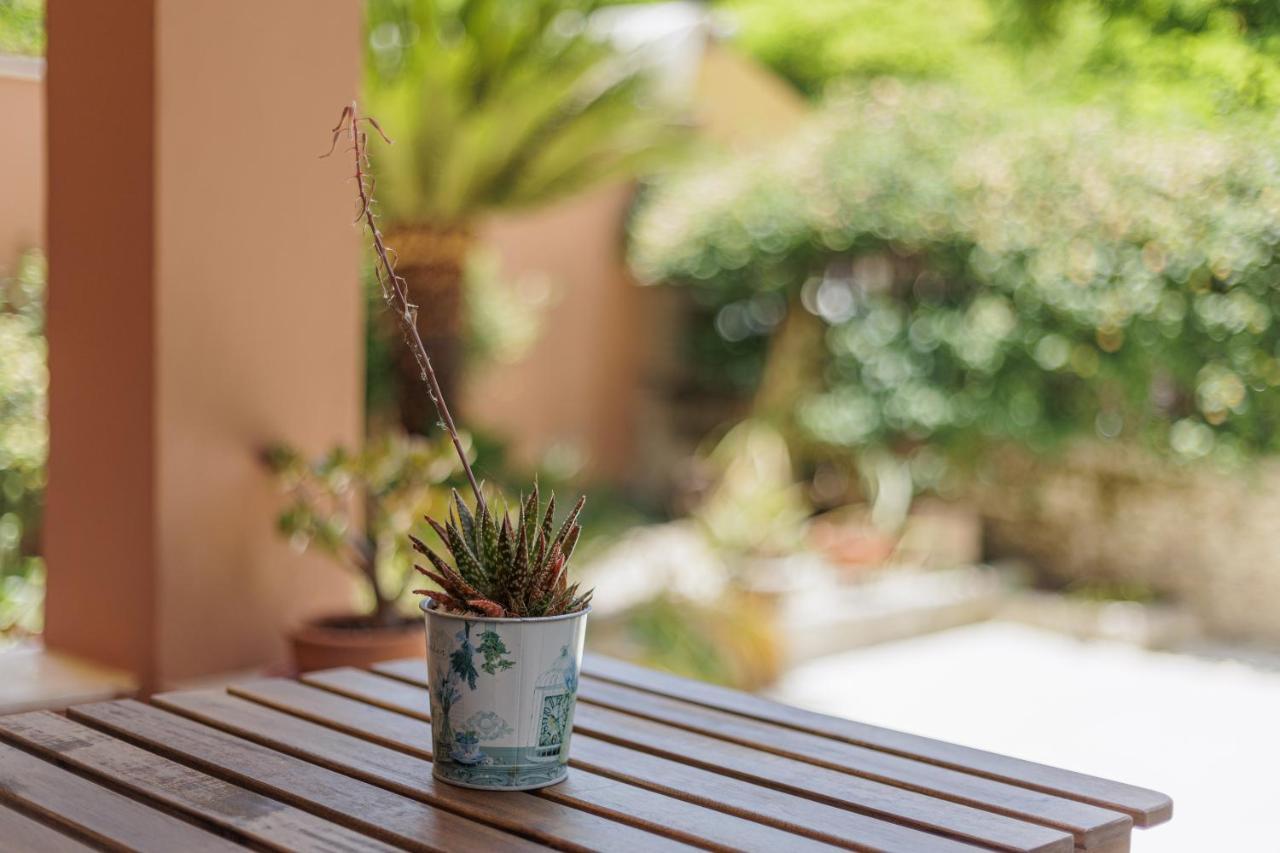 Corfu  Aloe Apartments מראה חיצוני תמונה
